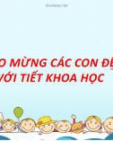 Bài giảng môn Khoa học lớp 5 năm học 2021-2022 - Bài 11: Dùng thuốc an toàn (Trường Tiểu học Thạch Bàn B)