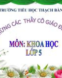 Bài giảng môn Khoa học lớp 5 năm học 2021-2022 - Bài 3: Nam hay nữ? (Trường Tiểu học Thạch Bàn B)