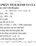 Một số ví dụ về Mô hình phân tích hành vi của doanh nghiệp