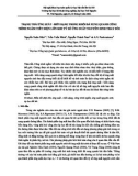 Trạng thái ứng suất - biến dạng trong khối đá xung quanh công trình ngầm tiết diện lớn khi tỷ số ứng suất nguyên sinh thay đổi