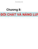 Bài giảng Hóa sinh đại cương - Chương 8: Trao đổi chất và năng lượng