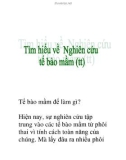 tìm hiểu về nghiên cứu tế bào nầm (tt)