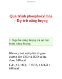 Quá trình phosphoryl hóa - Dự trữ năng lượng