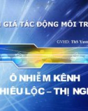 ĐÁNH GIÁ TÁC ĐỘNG MÔI TRƯỜNG - Ô NHIỄM KÊNH NHIÊU LỘC – THỊ NGHÈ