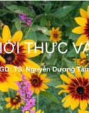 Giới thực vật - GV: TS. Nguyễn Dương Tâm Anh