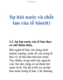 Sự hút nước và chất tan của tế bào(tt)