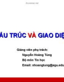 Cấu trúc và giao diện