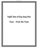 Nghề làm trống làng Ðọi Tam - Tỉnh Hà Nam