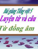 Bài giảng Luyện từ và câu: Từ đồng âm - Tiếng việt 5 - GV.N.T.Hồng