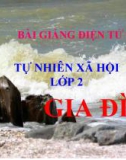 Bài giảng Gia đình - Tự nhiên xã hội 2 - GV. N.T.Sỹ