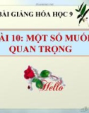 Bài giảng Một số muối quan trọng - Hóa 9 - GV.N Phương