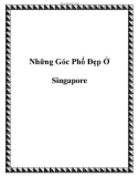 Những Góc Phố Đẹp Ở Singapore