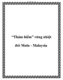 “Thám hiểm” rừng nhiệt đới Mulu - Malaysia