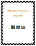 Những cây cầu bắc qua sông Seine