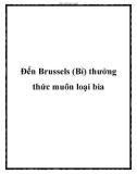 Đến Brussels (Bỉ) thưởng thức muôn loại bia