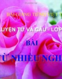 Bài Luyện từ và câu: Từ nhiều nghĩa - Bài giảng điện tử Tiếng việt 5 - GV.Lê T.Hoà