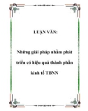 LUẬN VĂN: Những giải pháp nhằm phát triển có hiệu quả thành phần kinh tế TBNN