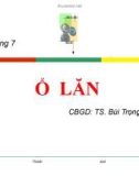 Bài giảng Chi tiết máy(Ts.Bùi Trọng Hiếu) - Chương 7 Ổ lăn