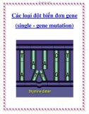 Các loại đột biến đơn gene (single - gene mutation)