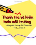 Thanh tra và kiểm toán môi trường