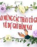 Bài giảng điện tử môn sinh học: Sự vận chuyển các chất trong thân cây