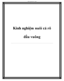 Kinh nghiệm nuôi cá rô đầu vuông