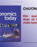 Bài giảng Kinh tế vi mô 1 (Nguyên lý Kinh tế vi mô): Chương 6.4 - TS. Đinh Thiện Đức