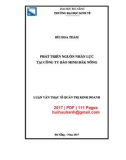 Luận văn Thạc sĩ Quản trị kinh doanh: Phát triển nguồn nhân lực tại Công ty Bảo Minh Đắk Nông