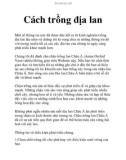 Cách trồng địa lan