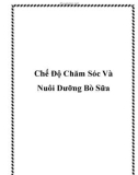 Chế Độ Chăm Sóc Và Nuôi Dưỡng Bò Sữa