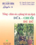 Trồng chăm sóc và phòng trừ sâu bệnh dừa, chuối, đu đủ.