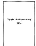 Nguyên tắc chọn cọ trang điểm