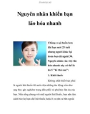 Nguyên nhân khiến bạn lão hóa nhanh