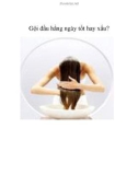 Gội đầu hằng ngày tốt hay xấu?