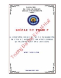 Khóa luận tốt nghiệp Quản trị kinh doanh: Giải pháp nâng cao hiệu quả hoạt động marketing trực tuyến của công ty cổ phần truyền thông quảng cáo và dịch vụ du lịch Đại Bàng