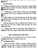 [Ẩm Thực] Món Ăn Đồng Quê Việt Nam - Trần Văn Quí phần 5