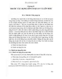 Giáo trình Hoá dược (Dành cho sinh viên đại học ngành hoá): Phần 2 - PGS.TS Phạm Hữu Điển