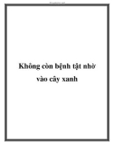 Không còn bệnh tật nhờ vào cây xanh