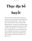 Thục địa bổ huyết