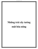 Những trái cây tưởng mát hóa nóng