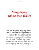 Năng lượng (phản ứng OXH)