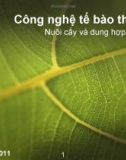 Nuôi cấy và dung hợp tế bào trần