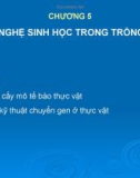 Chương 5: CÔNG NGHỆ SINH HỌC TRONG TRỒNG TRỌT