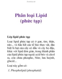 Phân loại Lipid (phức tạp)