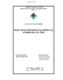 Luận văn: PHÂN TÍCH TÌNH HÌNH TÀI CHÍNH TẠI EXIMBANK CẦN THƠ