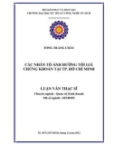 Luận văn Thạc sĩ: Các nhân tố ảnh hưởng tới giá chứng khoán tại Thành phố Hồ Chí Minh