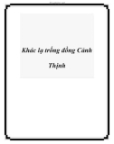 Khác lạ trống đồng Cảnh Thịnh