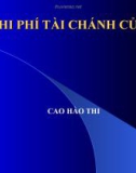 Chi phí tài chính của vốn-Cao Hào Thi