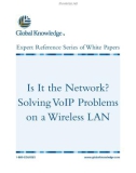 Is It the Network? Solving VoIP Problems on a Wireless LAN