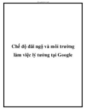 Chế độ đãi ngộ và môi trường làm việc lý tưởng tại Google